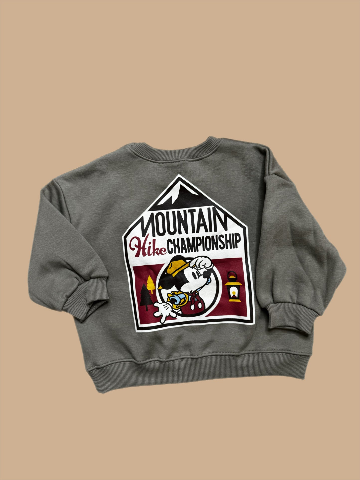 Mountain Sweatshirt