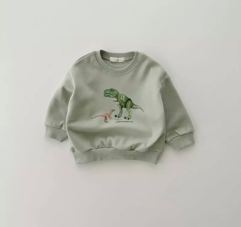Dinosaur sweatshirt